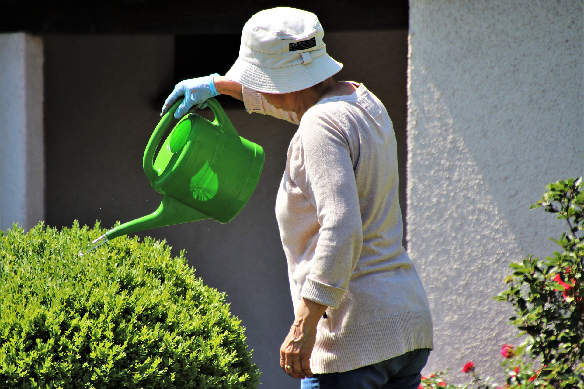 Short-term respite care